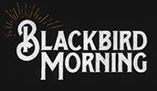 Blackbird Morning